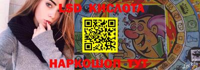 PSILOCYBIN Тверь