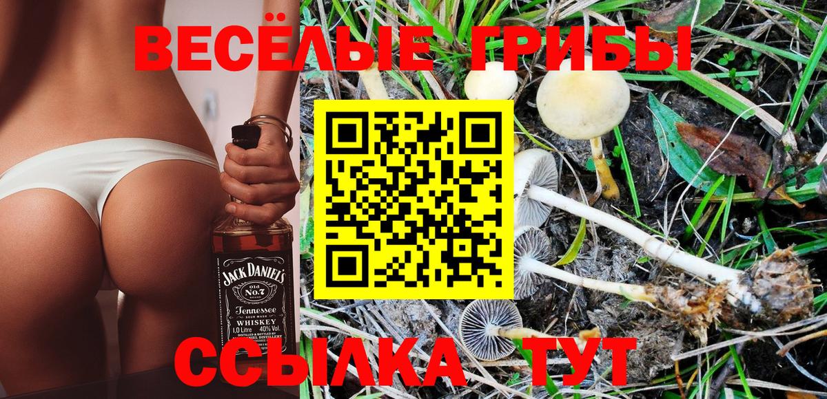 Галлюциногенные грибы Magic Shrooms Малоярославец